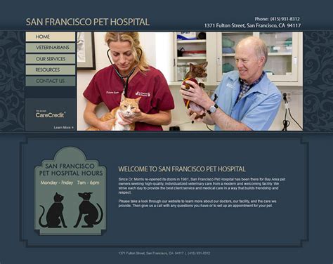 soma pet hospital|modern animal hospital san francisco.